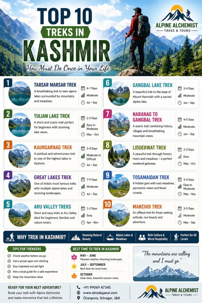 info graphic image for Top 10 Treks in Kashmir You Must Do Once in Your Life